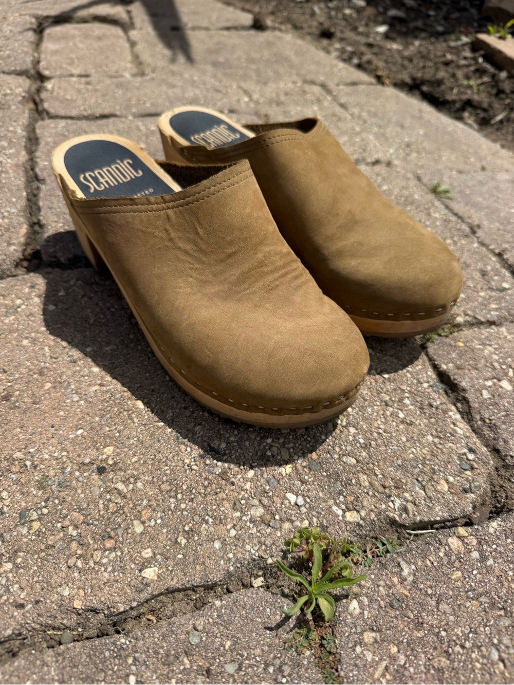 Women's Suede Clog Mules in Camel Tan